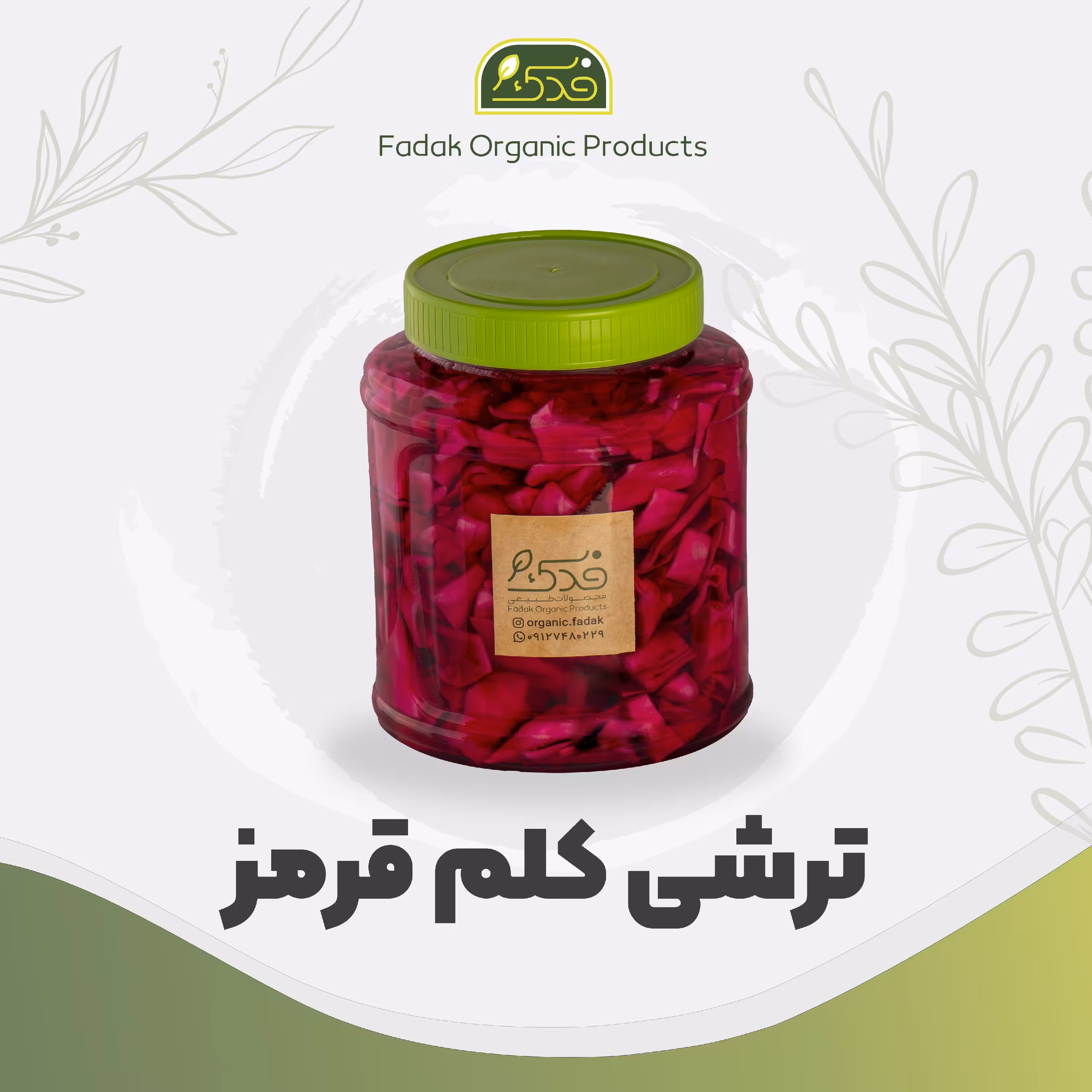 ترشی کلم قرمز ممتاز