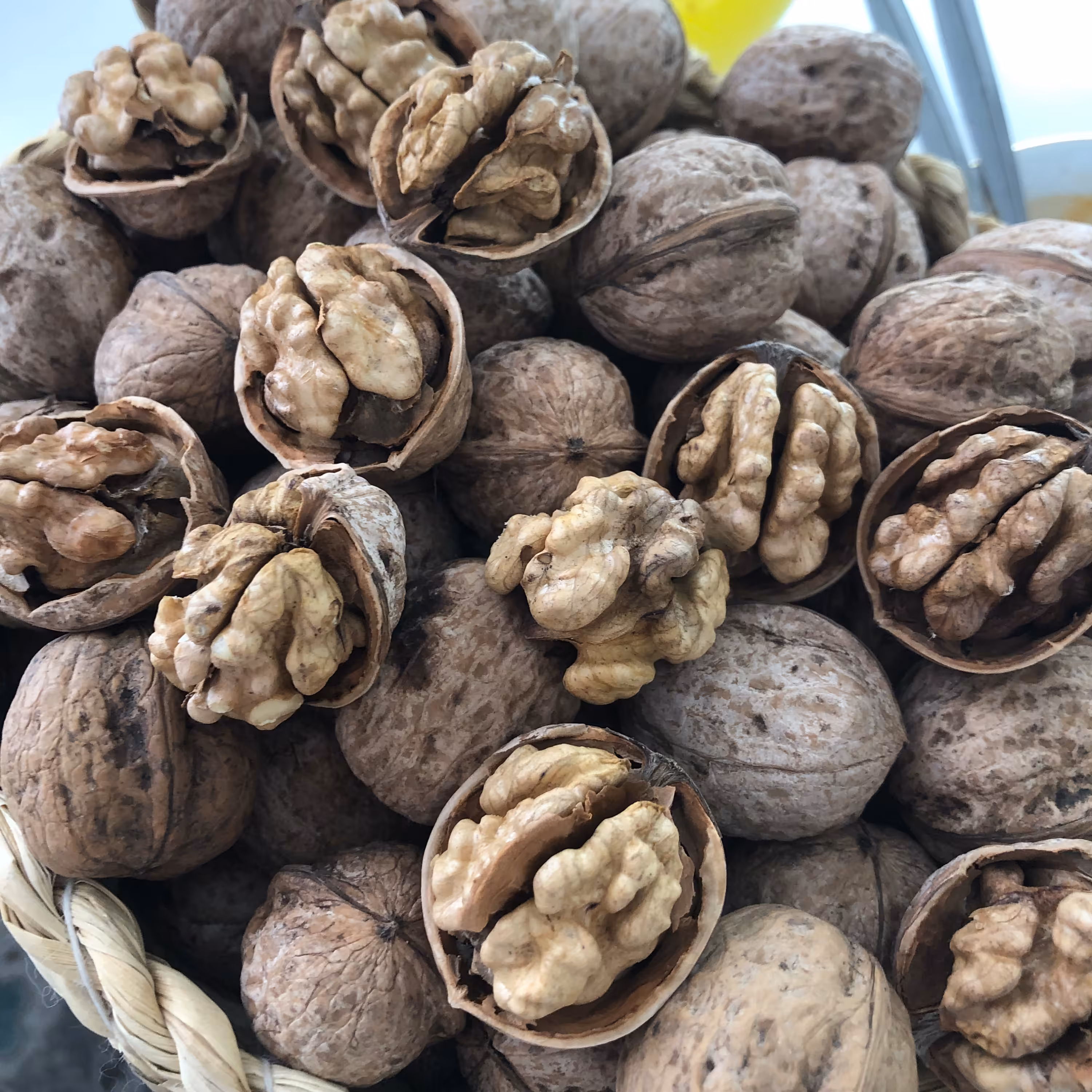 گردو 1402 روغنی پوست کاغذی 5کیلویی