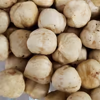 مغز فندق ارگانیک ممتاز برشته شور  300 گرمی 