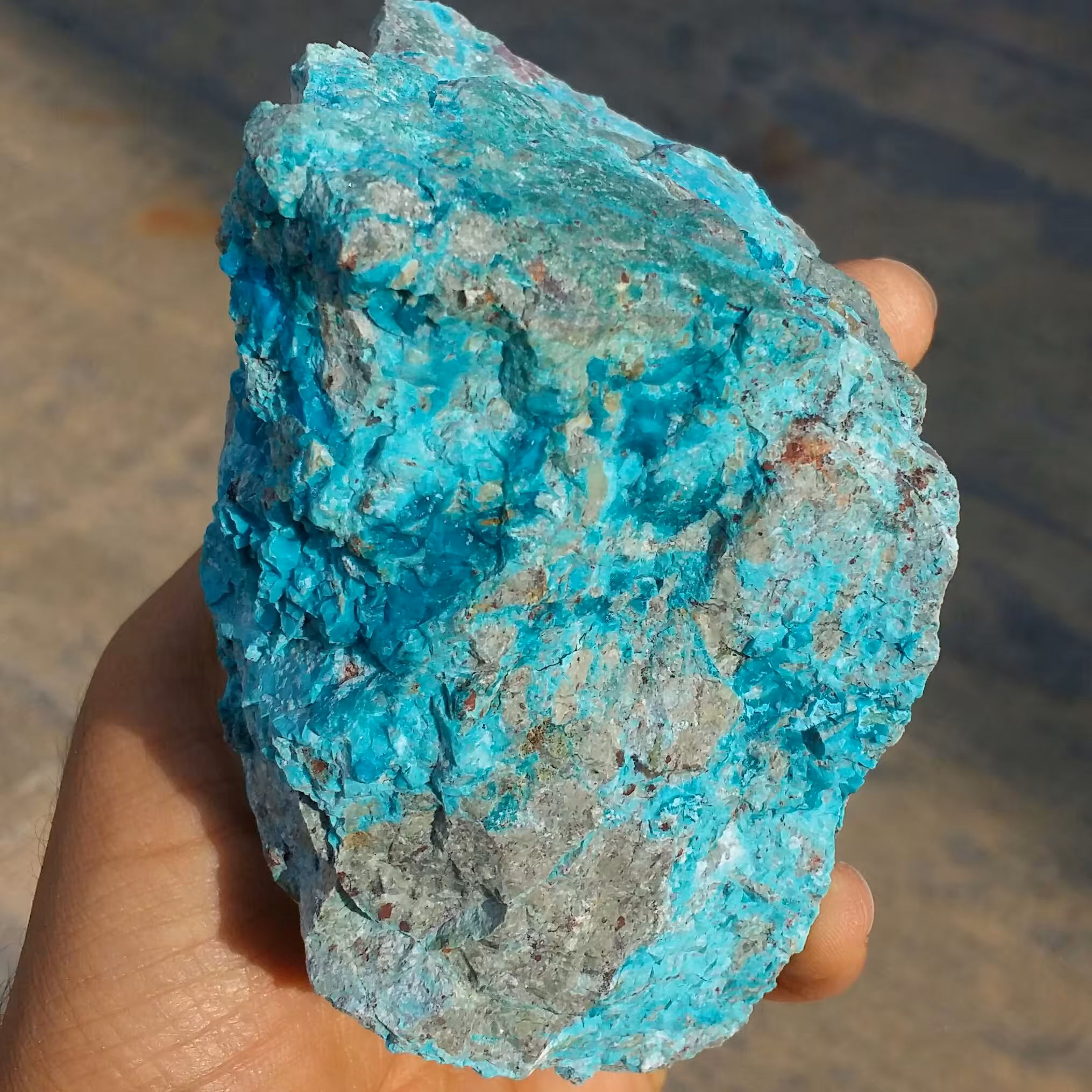 نمونه فوق کلکسیونی غولپیکر سنگ راف کریزوکولا  کله غازی یا سبز آبی خاص محشر بسیااااار زیبا کاملا طبیعی
کد 8443