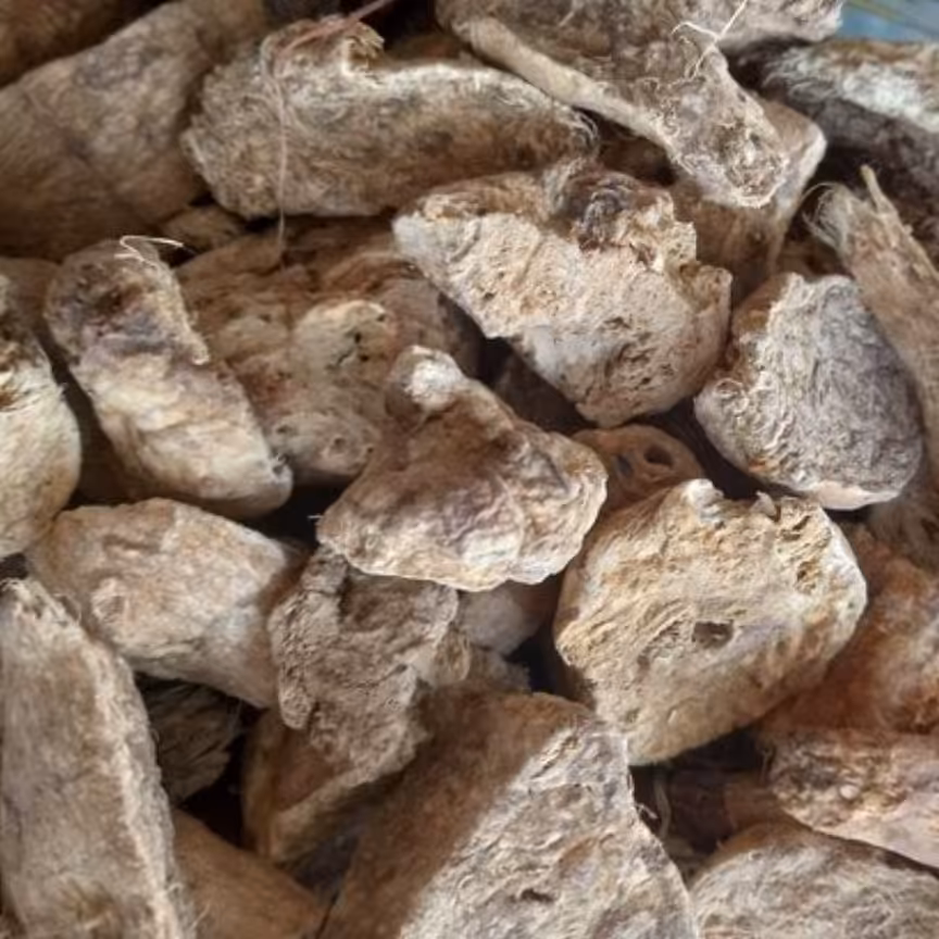 200 گرم ریشه بدره گیاه بدره ریشه کما گیاه کما گیاه کامی ریشه کامی 