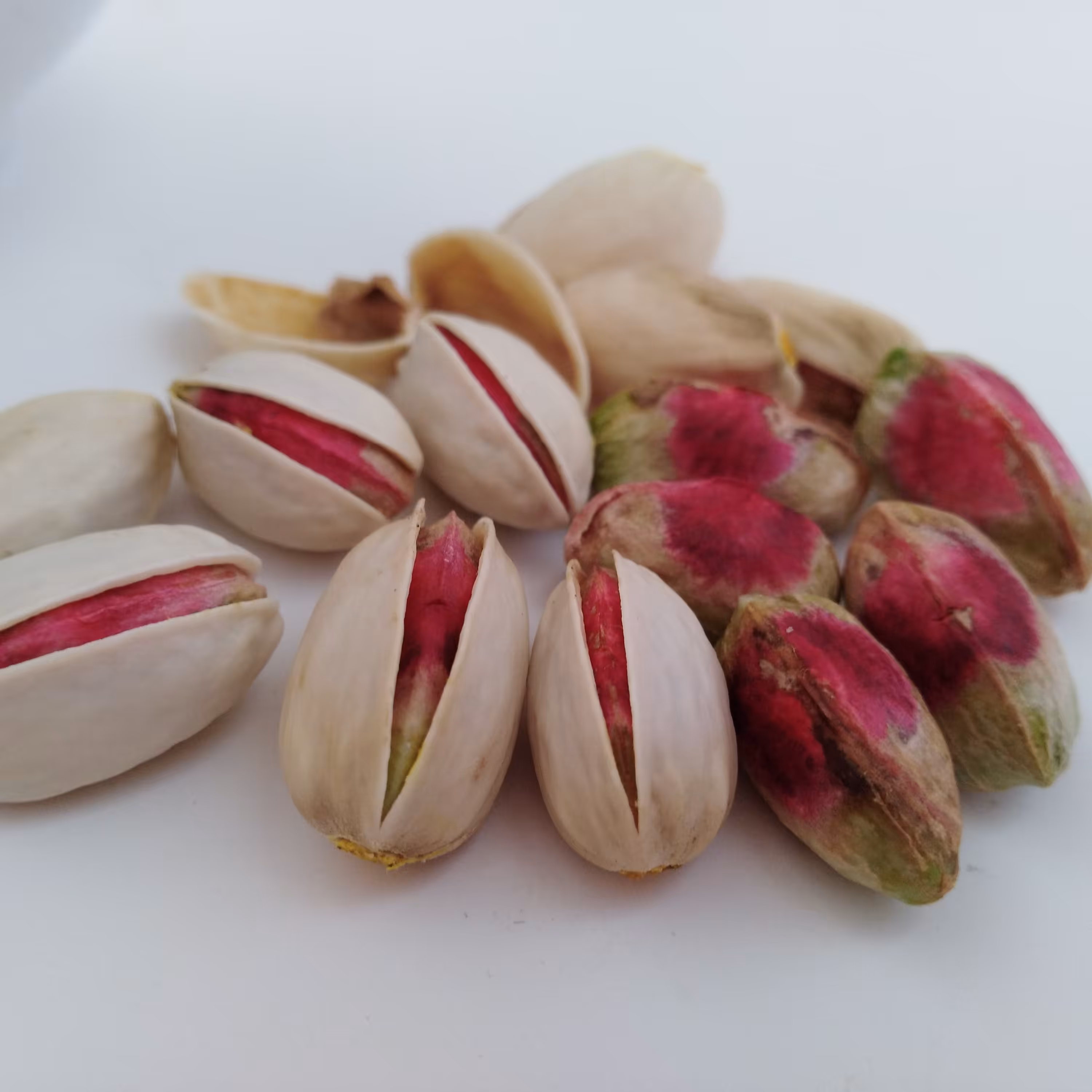 پسته احمد آقایی و اکبری یک کیلویی (برداشت1401 کاملا تازه)