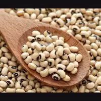 لوبیا چشم بلبلی 600 گرمی شیراز