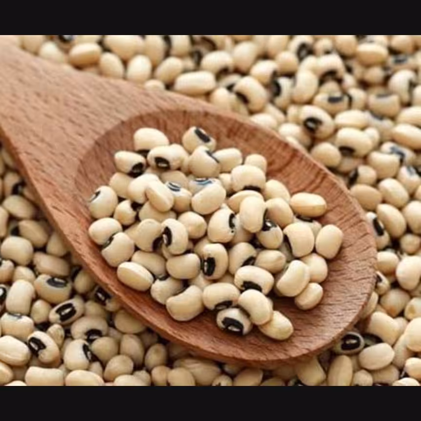 لوبیا چشم بلبلی 600 گرمی شیراز