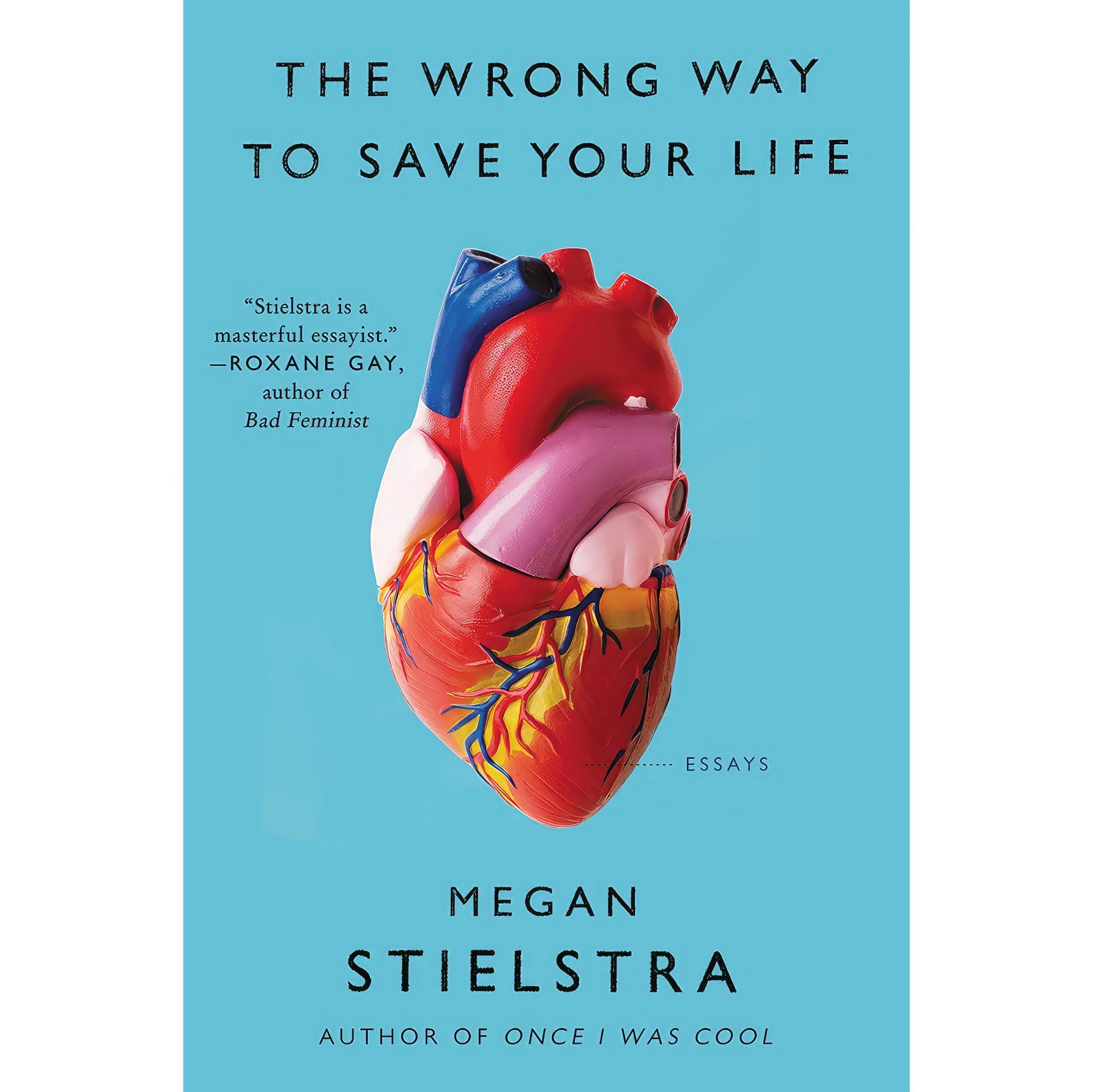 کتاب زبان اصلی The Wrong Way to Save Your Life اثر Megan Stielstra