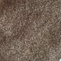 آویشن کوهی 1 کیلوگرم (تضمین کیفیت)