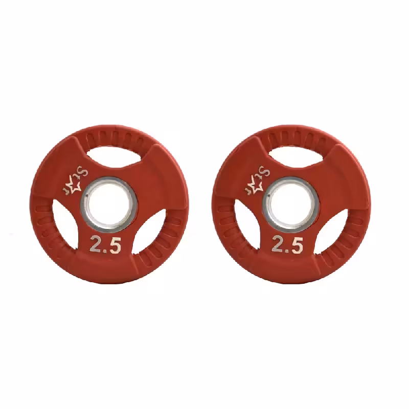 صفحه هالتر 2.5 کیلوگرمی استار در بسته دو عددی کد BA1