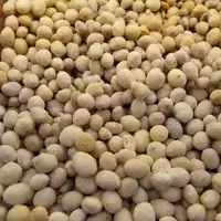 بادام زمینی سرکه ای (250گرمی )آجیل و خشکبار شفا 