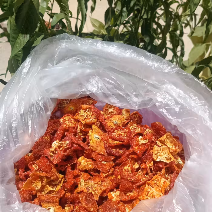 گوجه فرنگی محلی خشک شده و ترش. کاملا ارگانیک. 500 گرمی