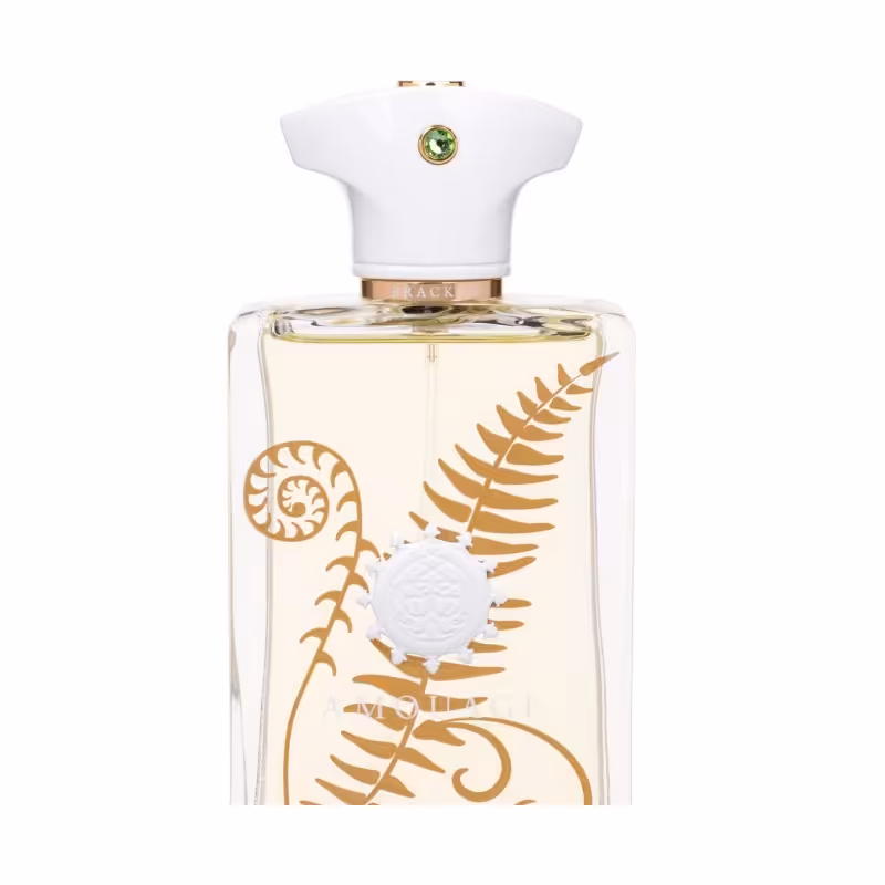 ادو پرفیوم مردانه آمواژ مردانه حجم 100 میلی لیتر