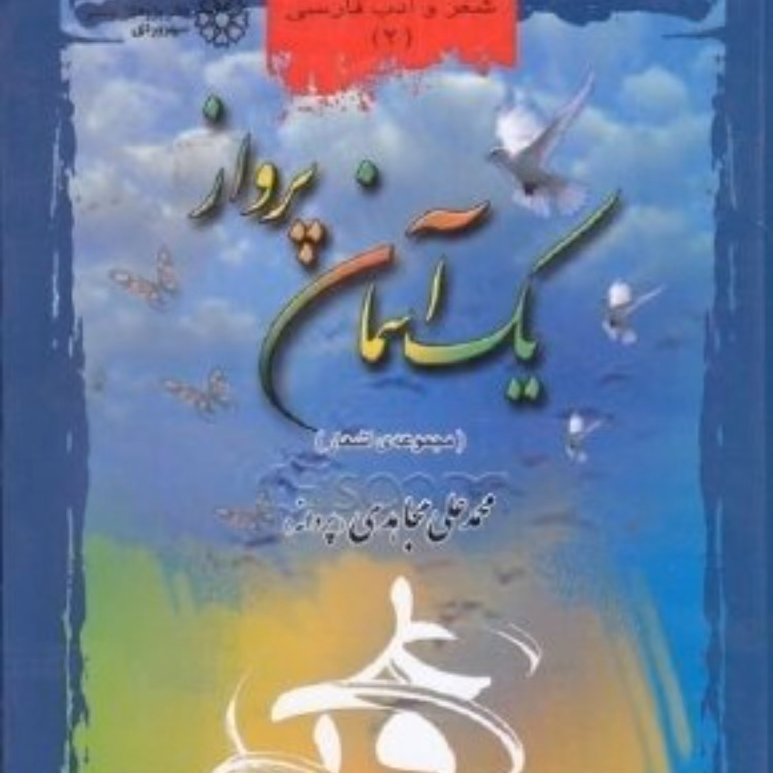 یک آسمان پرواز 