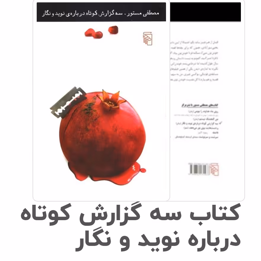کتاب سه گزارش کوتاه درباره نوید و نگار چاپ اصل و نو با تخفیف اثر مصطفی مستور  آثار موجود من گنجشک نیستم بهترین شکل ممکن 