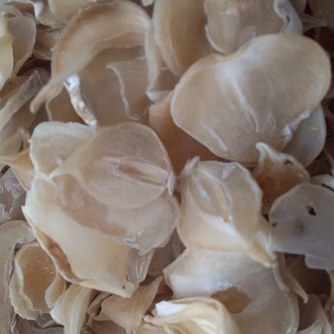 موسیر شیرین شده نازک 40 گرم