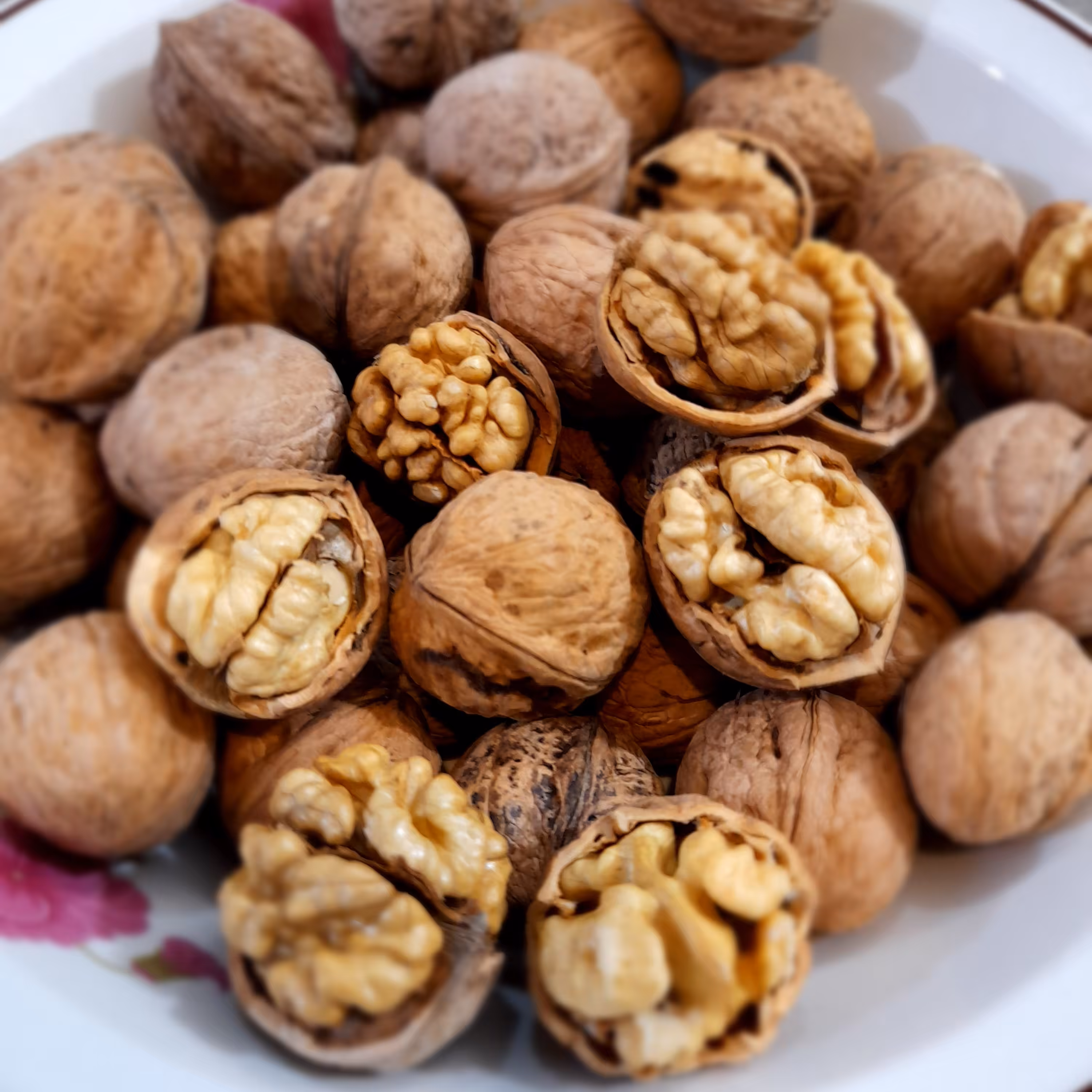 گردوی درجه یک ،یک کیلویی