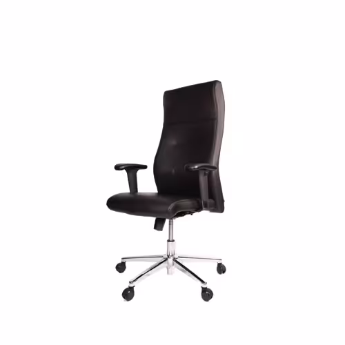 صندلی مدیریتی کاپا گلدسیت کد M300