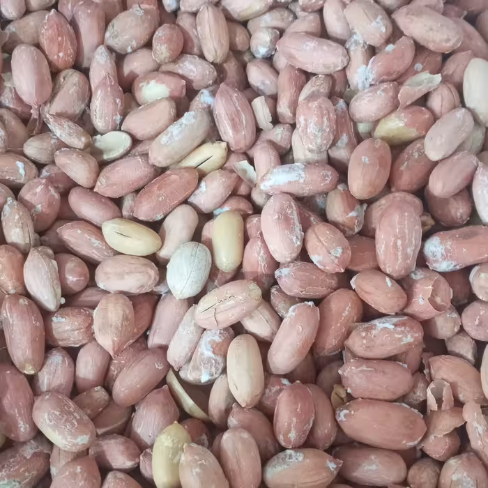 بادام زمینی آستانه شور 1 کیلویی