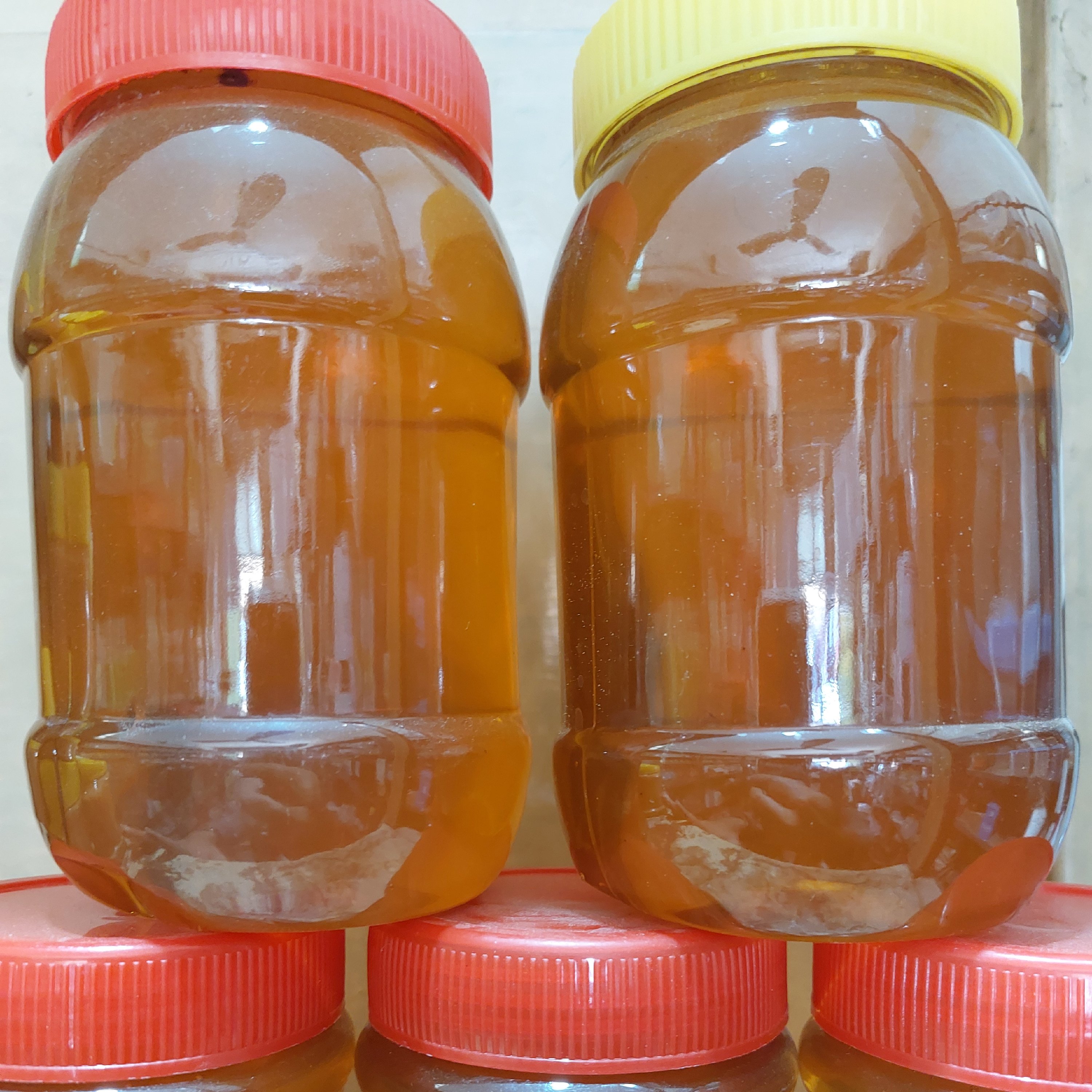 عسل کوهی درمانی 1کیلویی