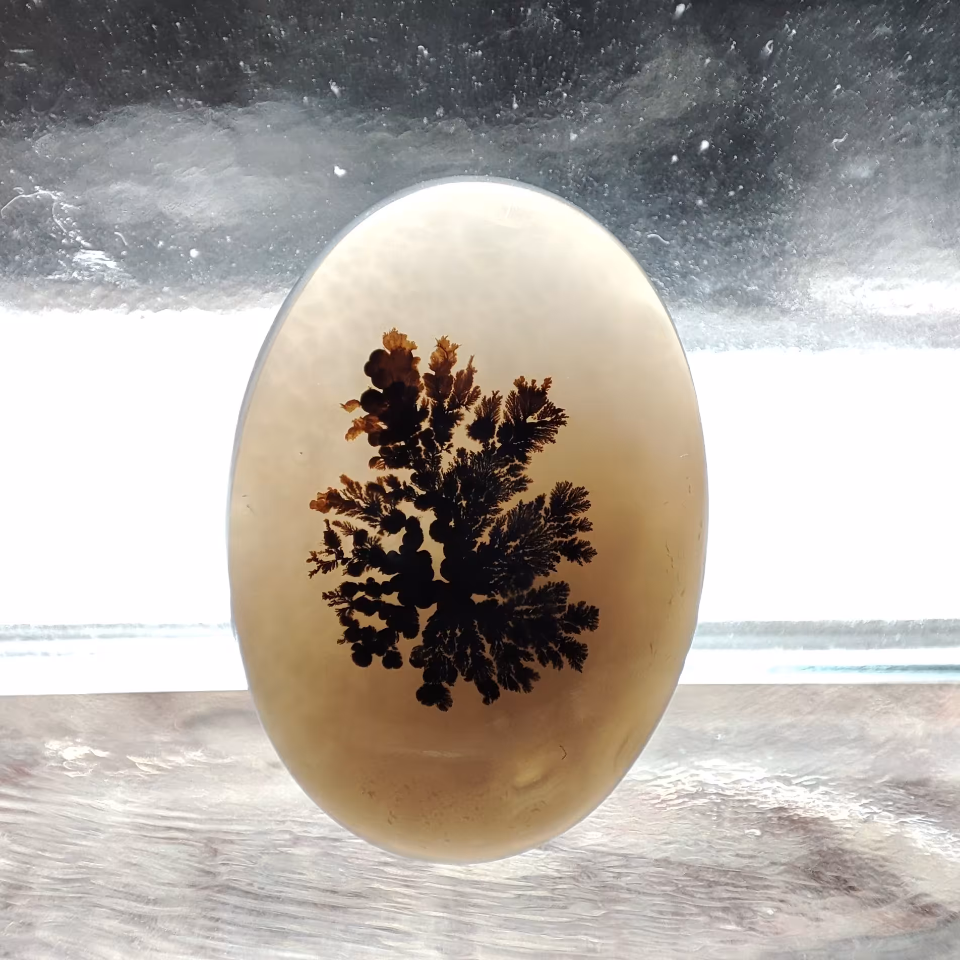 شجر قائن طبیعی و معدنی کد 563