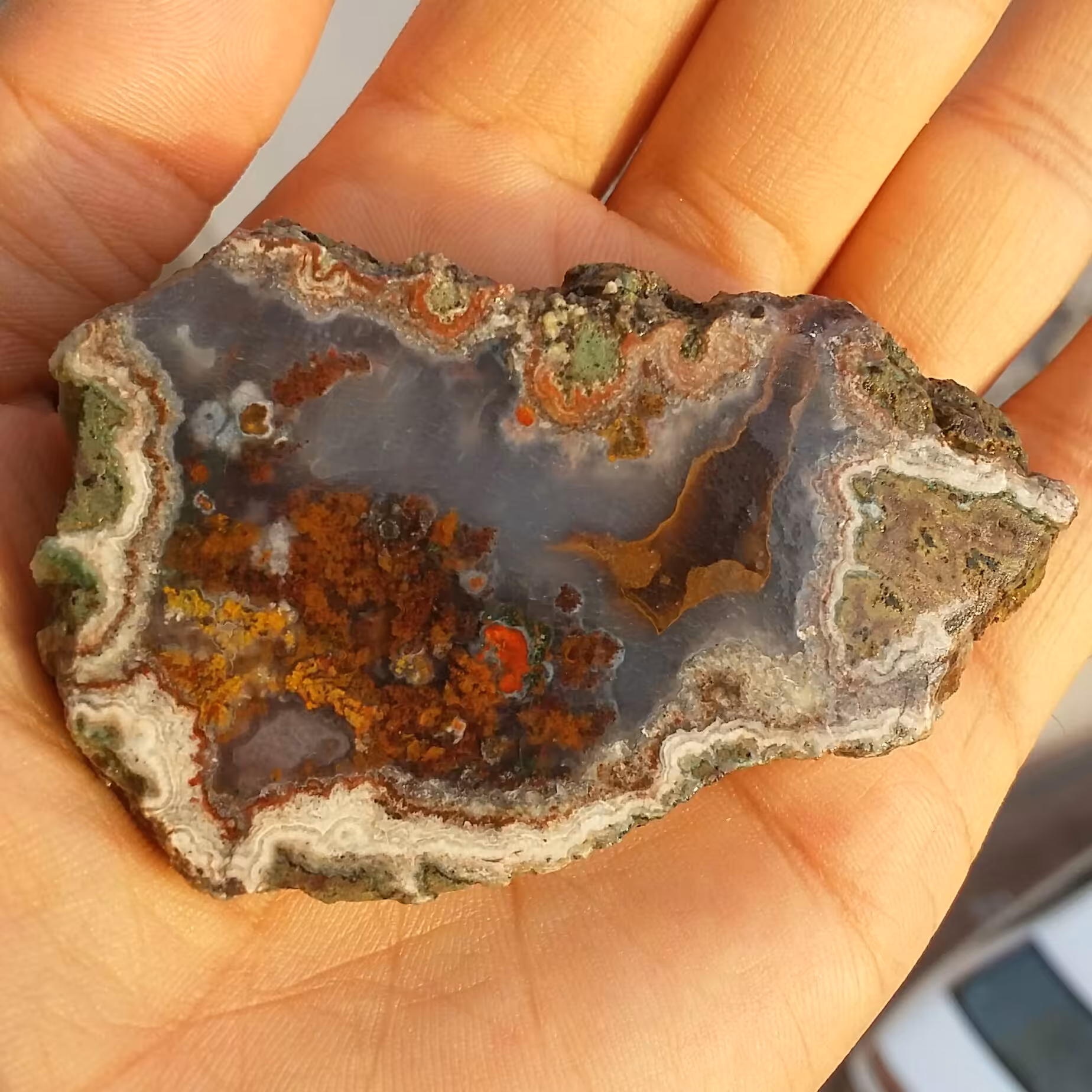 اسلایس سنگ راف شجر دریایی 7رنگ دیدنی فوق العاده خاص و کمیاب
شاااهکار خلقت
100 در 100 طبیعی
نمونه ای بسیار خااااص و کمیاب