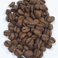 دان قهوه برزیل ریو عربیکا دابل سرت (ارسال با اسنپ)