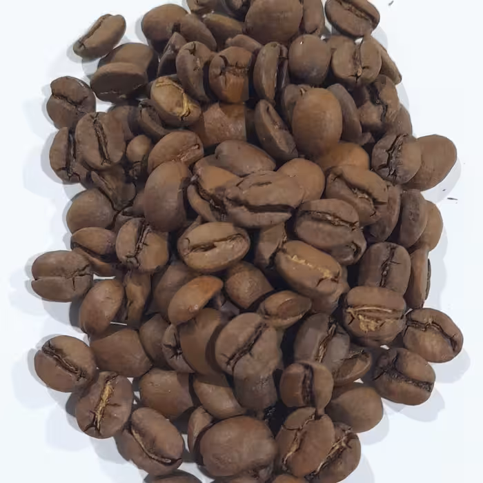 دان قهوه برزیل ریو عربیکا دابل سرت (ارسال با اسنپ)