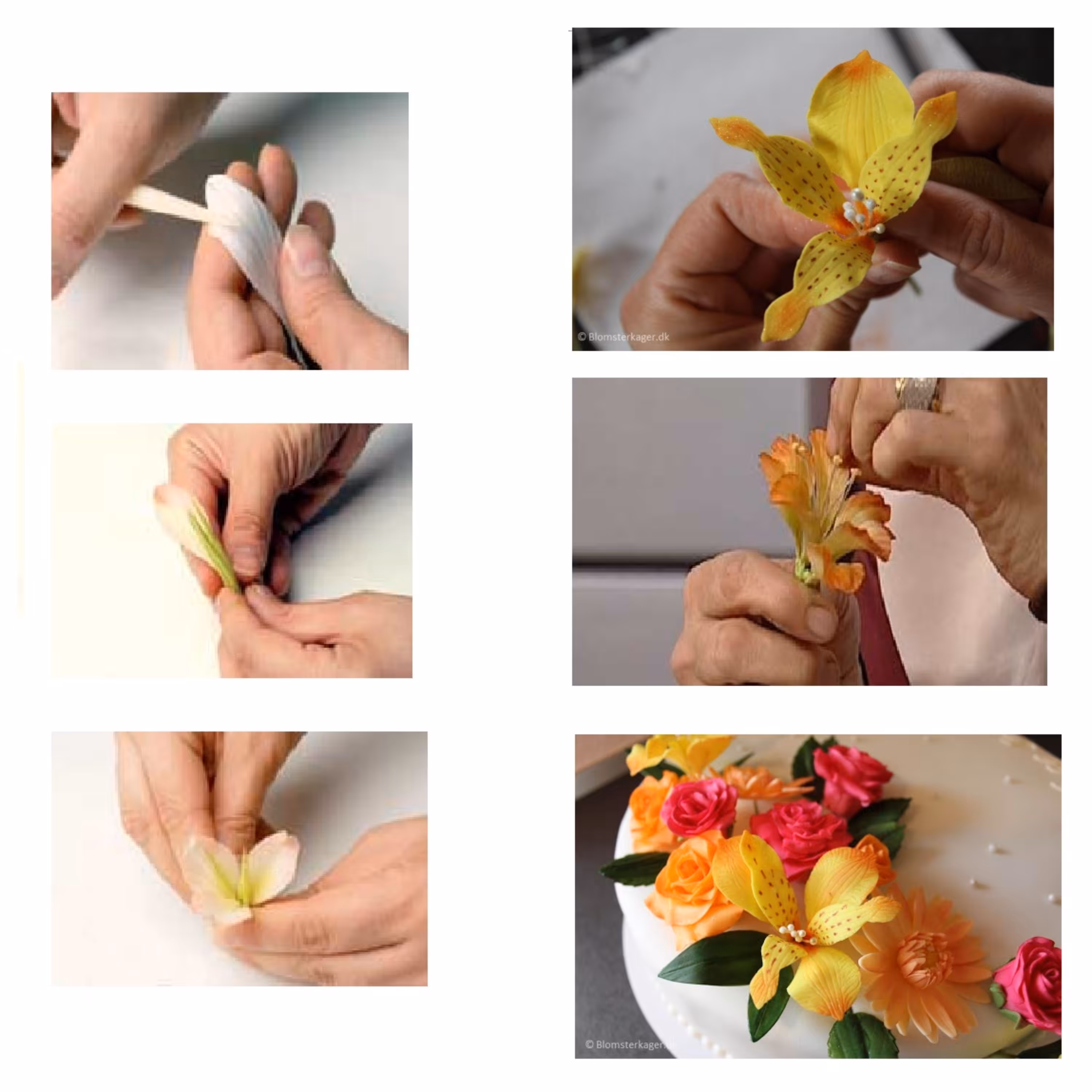 قالب فوندانت و سیلیکون قالبگیری بهگز مدل گل آلستر مجموعه 4 عددی