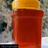 عسل طبیعی زرشک( فراورده های طبیعی ایلیا )