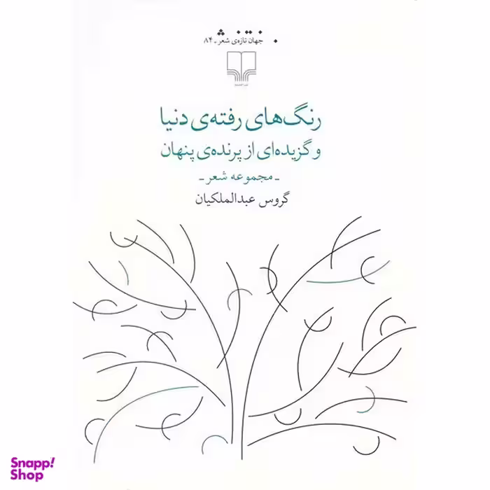 کتاب رنگ های رفته ی دنیا اثر گروس عبدالملکیان