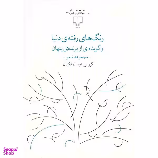 کتاب رنگ های رفته ی دنیا اثر گروس عبدالملکیان