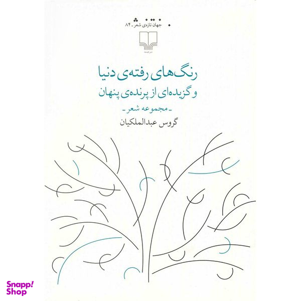 کتاب رنگ های رفته ی دنیا اثر گروس عبدالملکیان