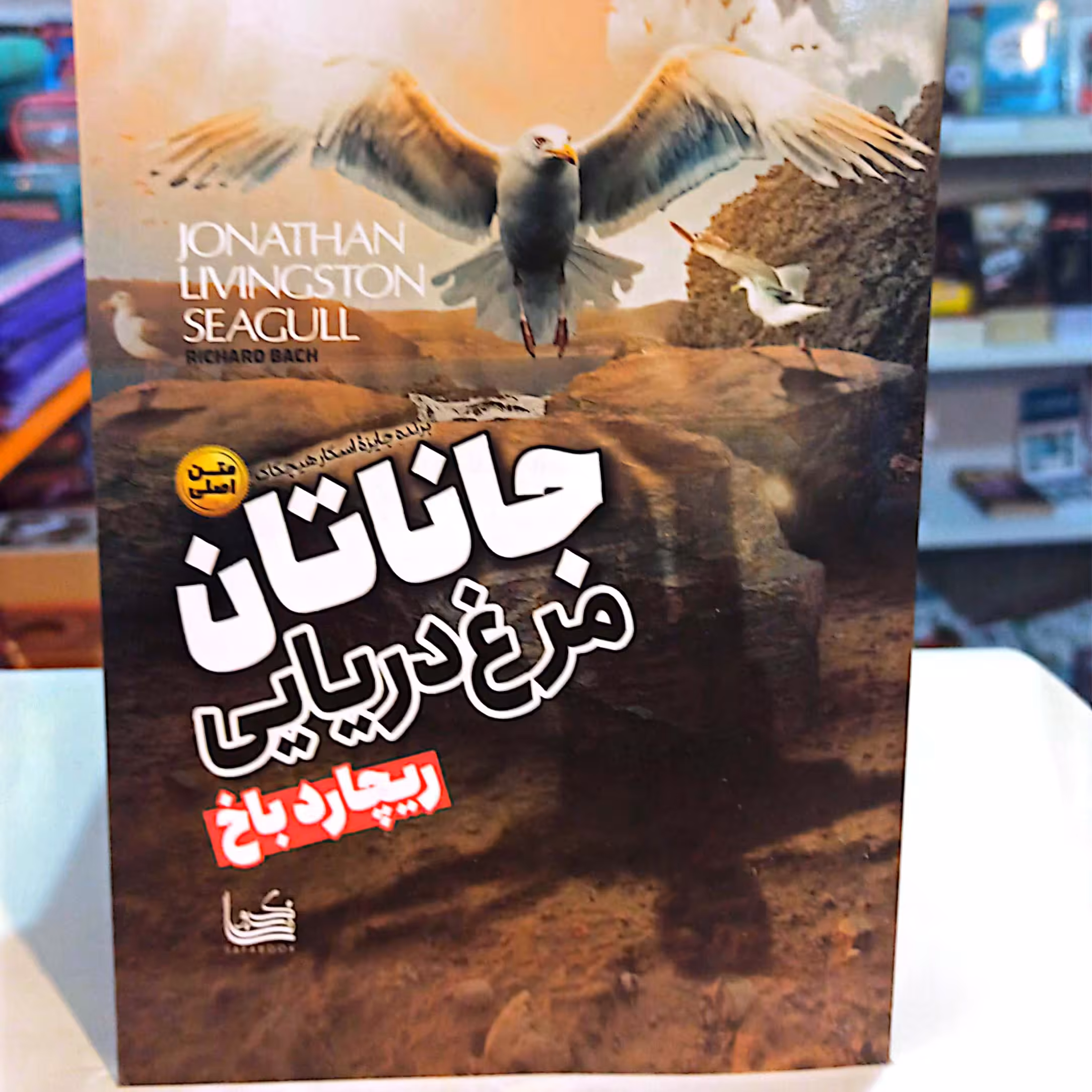 کتاب جاناتان مرغ دریایی اثر ریچارد باخ متن کامل