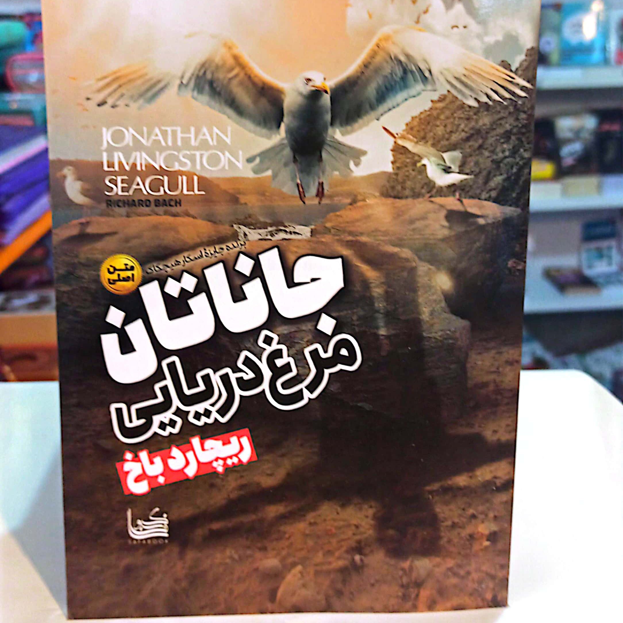 کتاب جاناتان مرغ دریایی اثر ریچارد باخ متن کامل