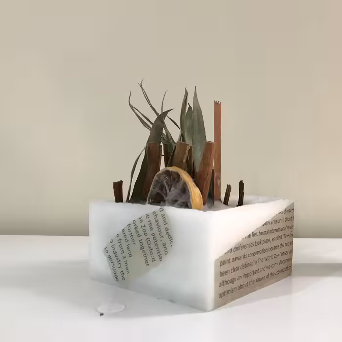 شمع تزیینی و دکوراتیو