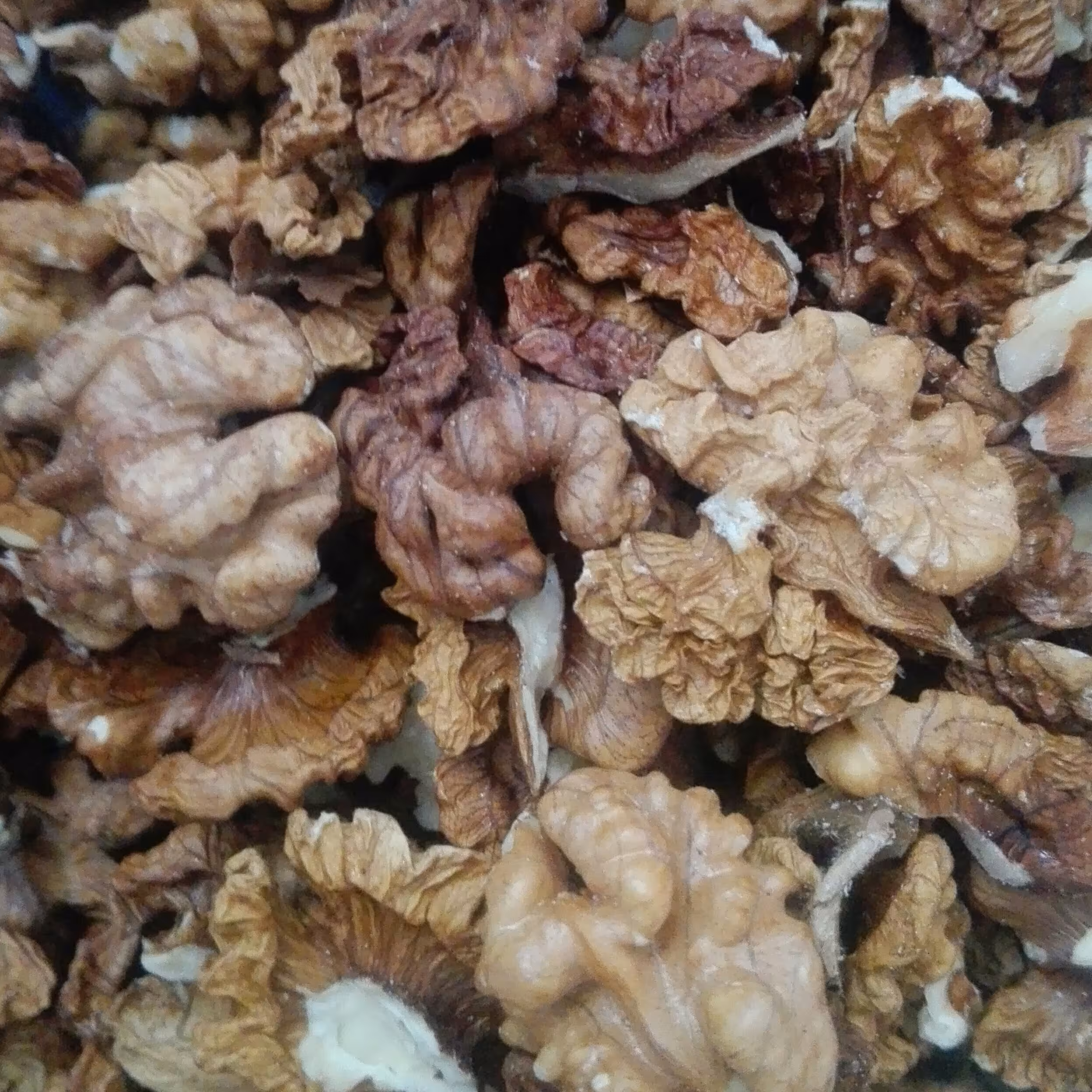 مغز گردو خورشتی تازه خوانسار(500g)