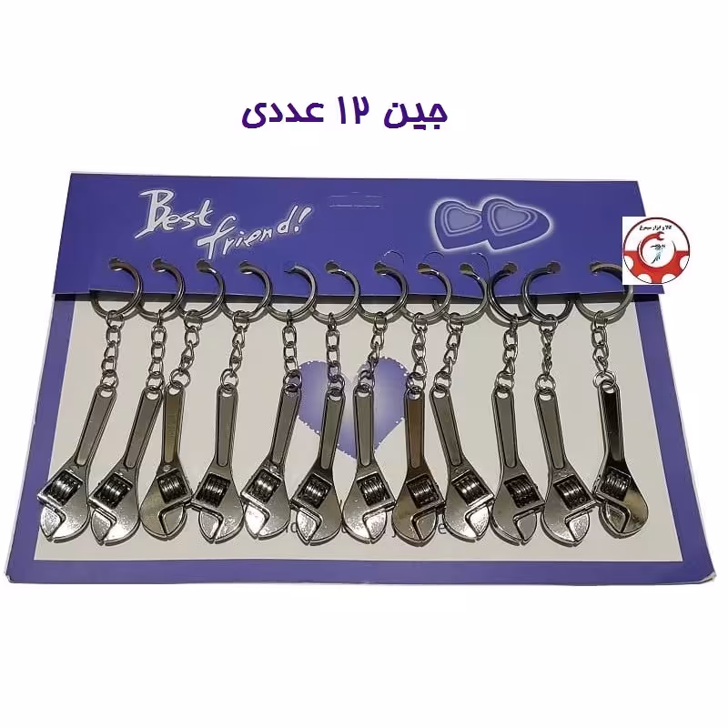 جاکلیدی ابزار آچار فرانسه فلزی نقره ای ایرانی جین 12 عددی