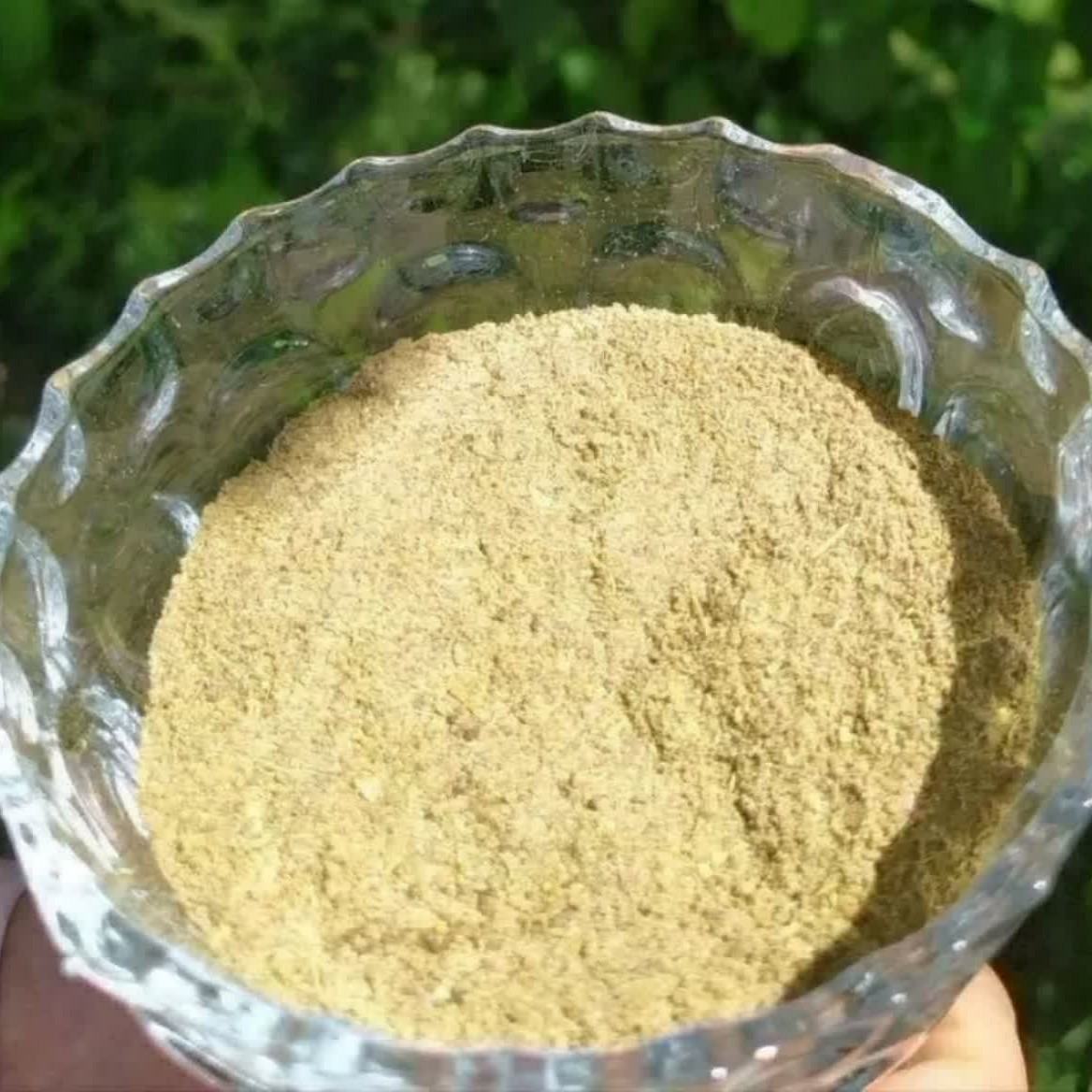 دا روی گیاهی چهل گیاه از کوه های دنا سالم و طبیعی