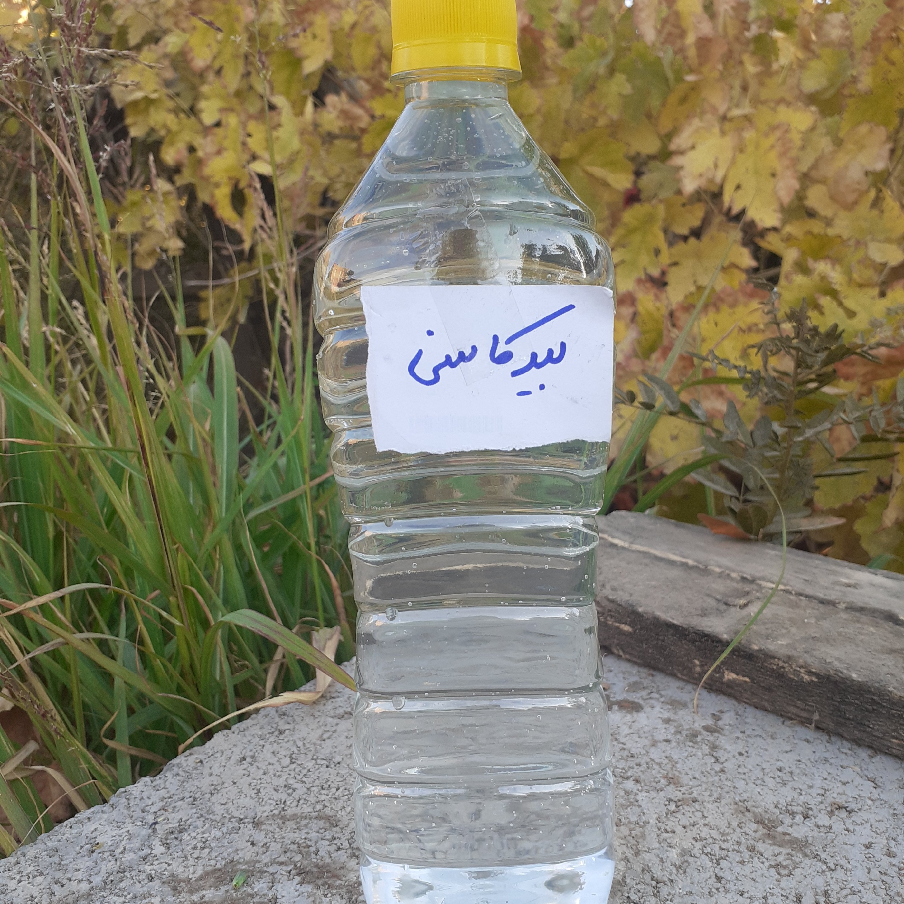 عرق بیدکاسنی خانگی یک لیتر