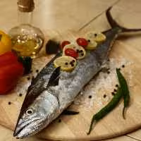 ماهی شیر تازه صید قلاب مروارید سیاه بوشهر