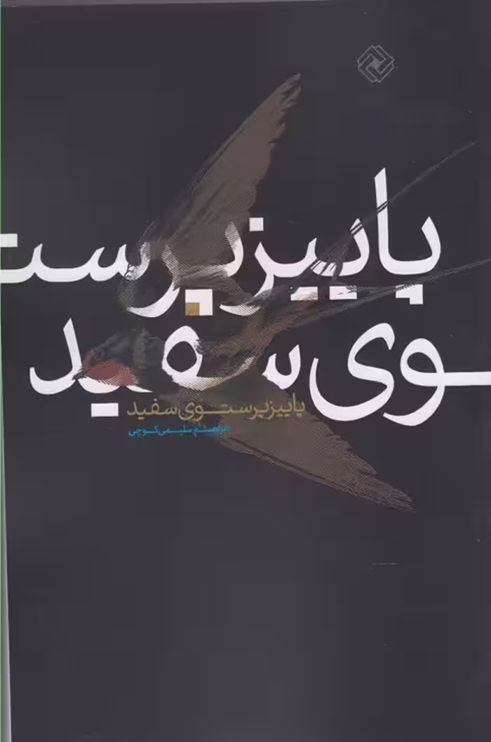 کتاب پاییز پرستوی سفید اثر ابراهیم سلیمی کوچی