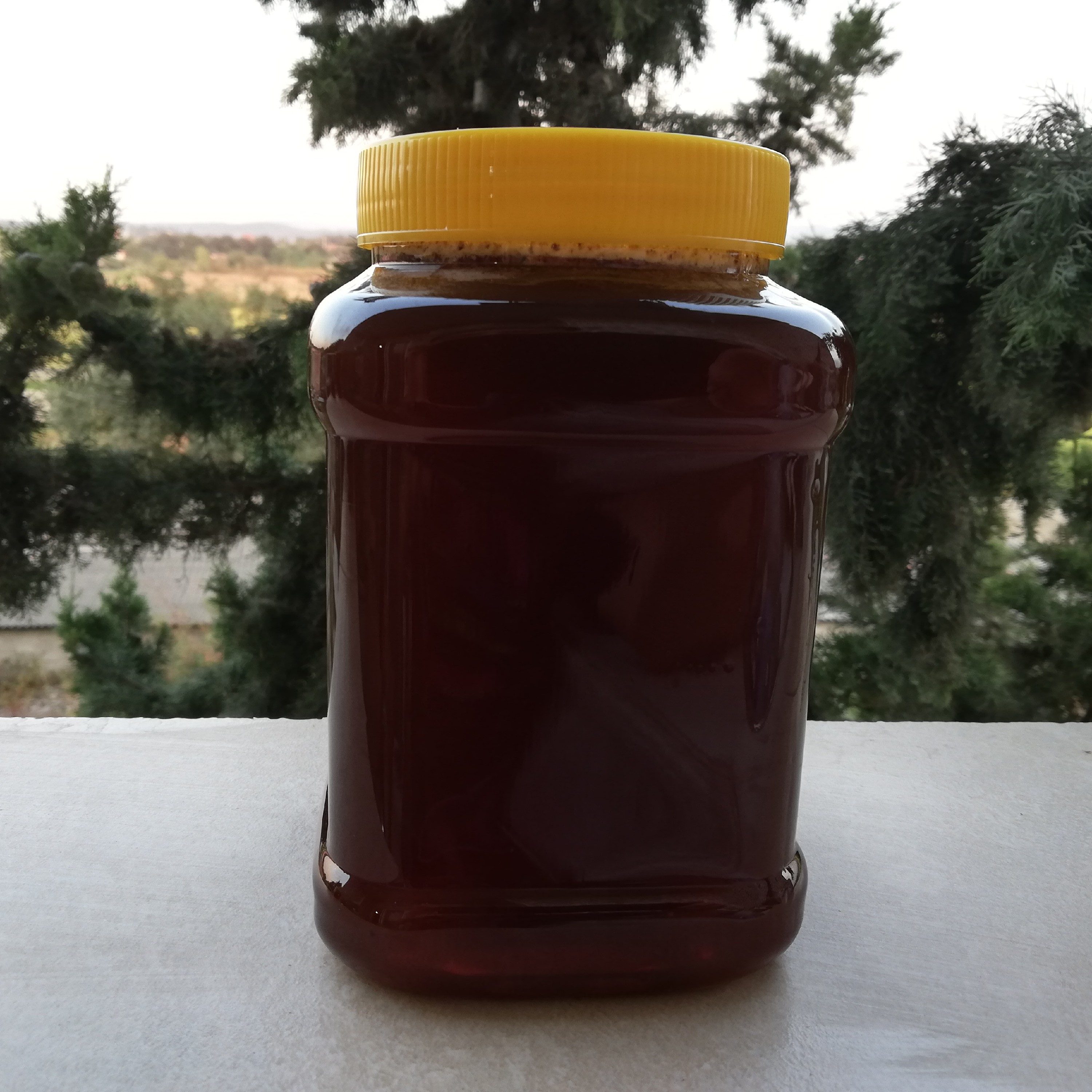 عسل طبیعی و خالص شوید ورامین (بکر و گرماندیده) یک کیلوگرم ارسال رایگان