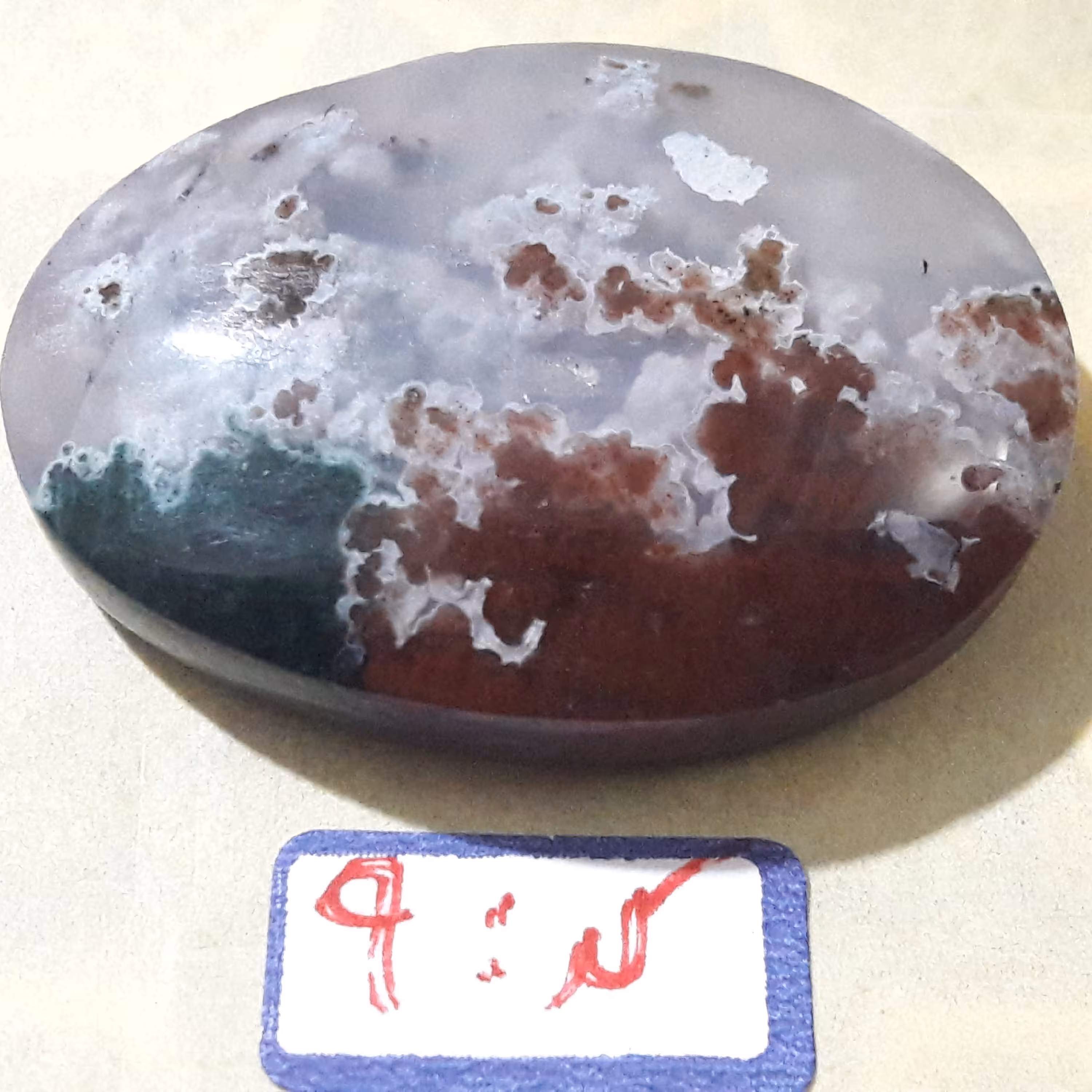 عقیق شجر دریایی کد 9