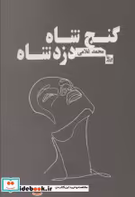 قیمت و خرید کتاب گنج شاه دزد شاه اثر محمد غلامی | ایده بوک