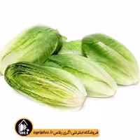 بذر کاهو سیاه سوری دیررس پاسارگاد