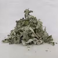 پونه خشک ارگانیک خانگی کاملا بهداشتی 50 گرم (یارپیز)