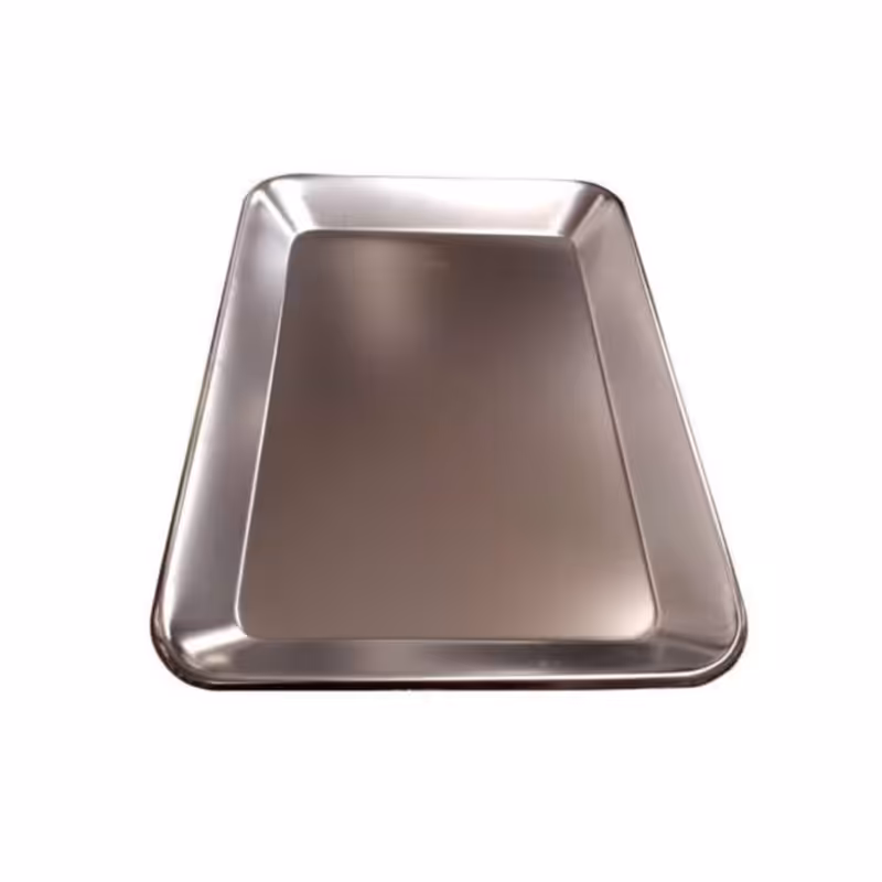 سینی مدل کاکتوس استیل 004(پسکرایه)