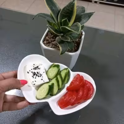 خرماخوری سرامیکی دو قلب