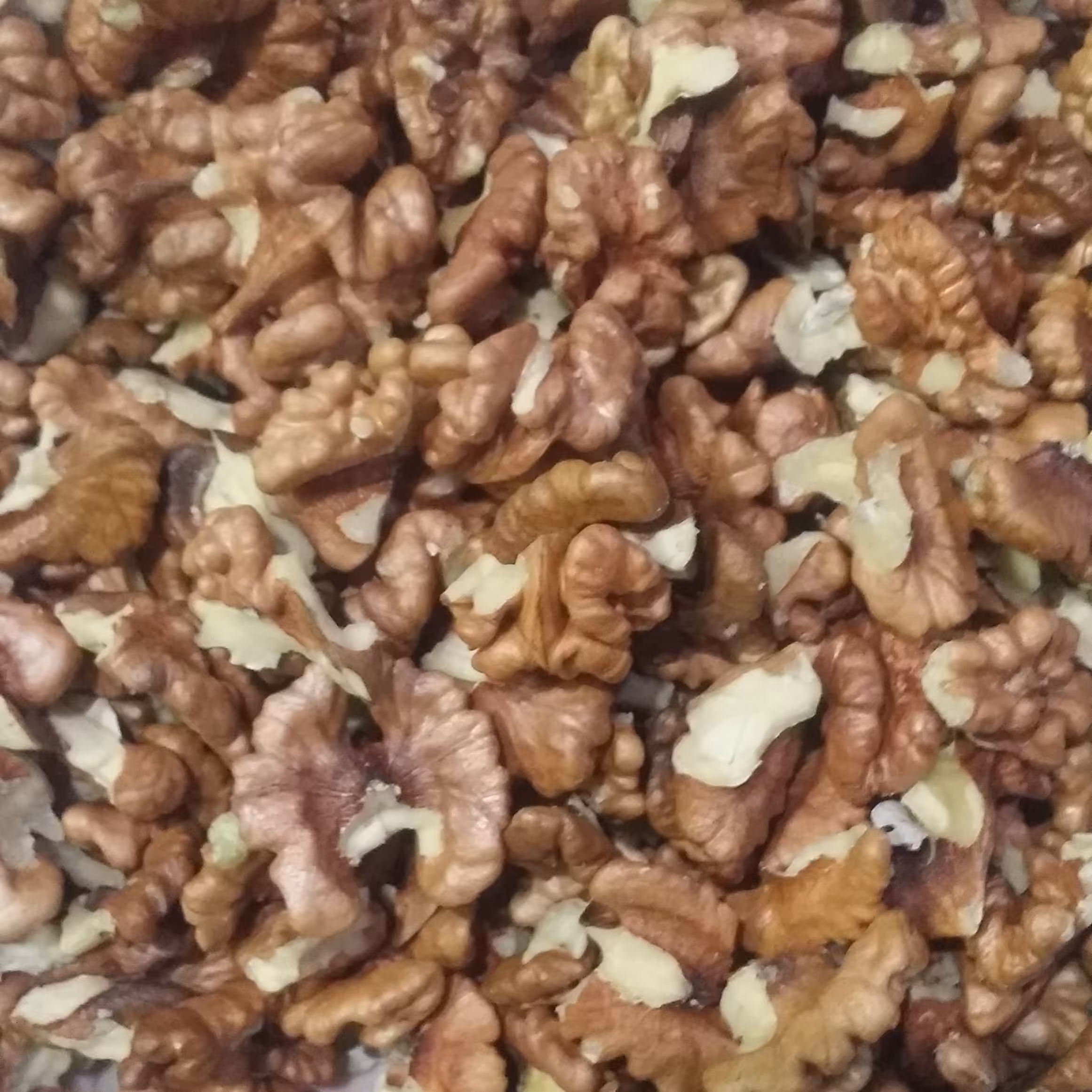 مغز گردوی فسنجان پر چرب منطقه گرده بیشه چهارمحال وبختیاری ارگانیک بهداشتی(500گرمی)