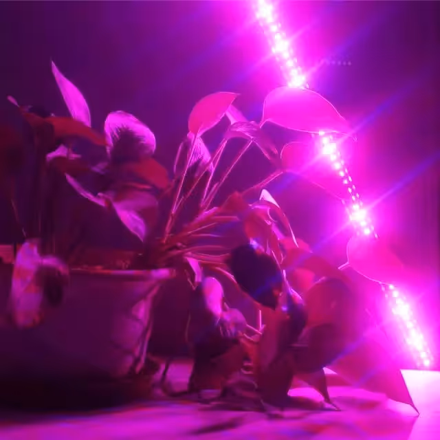 لامپ ریسه رشد گیاه 1 متری -ریسه رشد گیاه - چراغ اصلی رشد گیاه-لامپ اصلی رشد گیاه