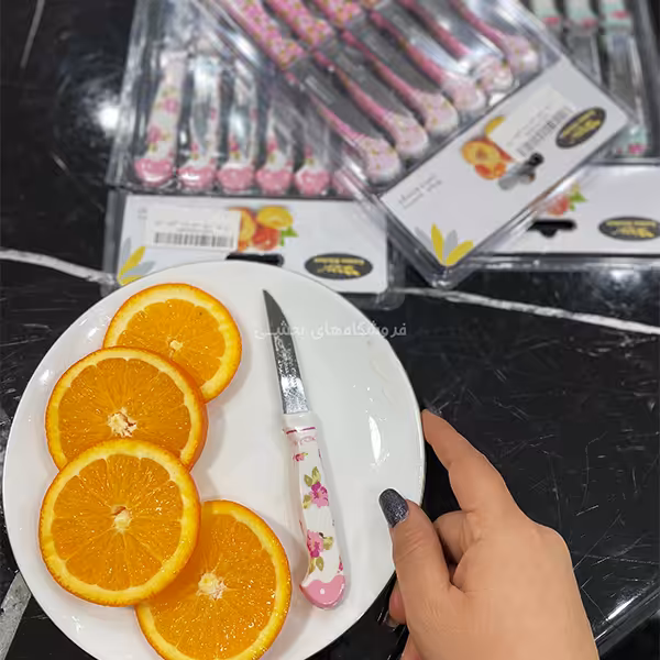 چاقو دسته تخت گلدار 12 عددی