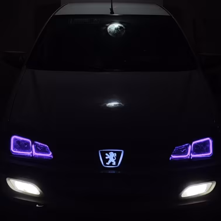 نئون فلکسی در رنگ های مختلف 12 ولت (قیمت برای هر متر)